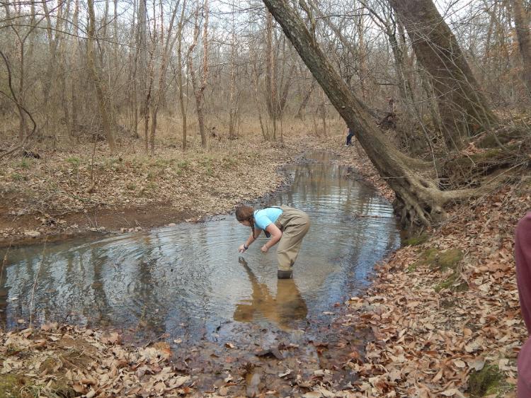 A student sampling a creek for microbes