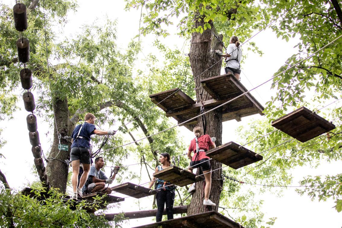 honors students climb the ropes course