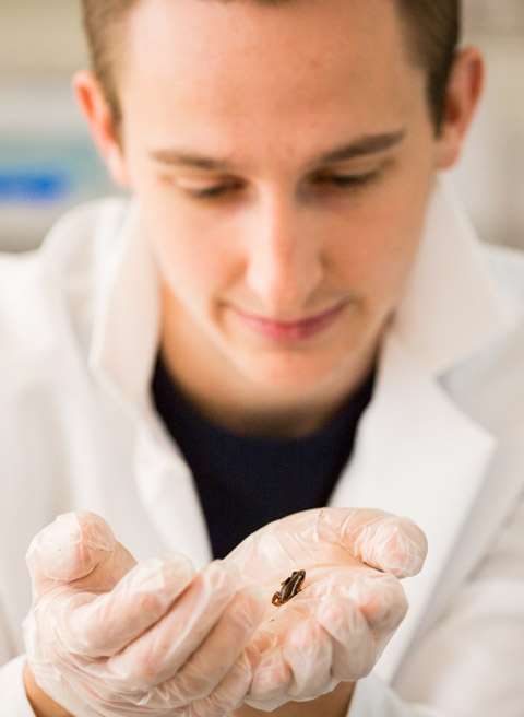 Keith Cochran ’16 holds one of the tiny frogs he helped feed.