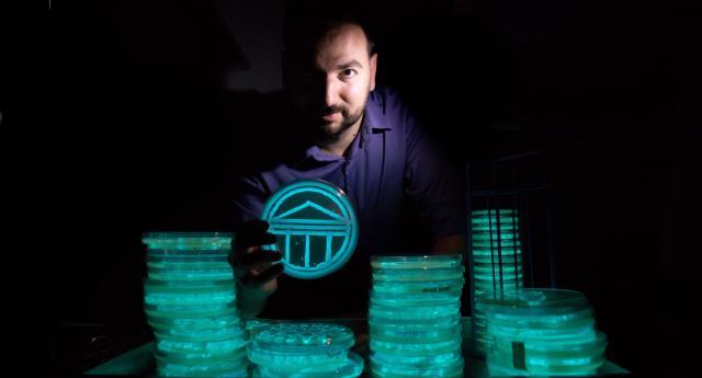 Art student with bioluminescent microbe projects