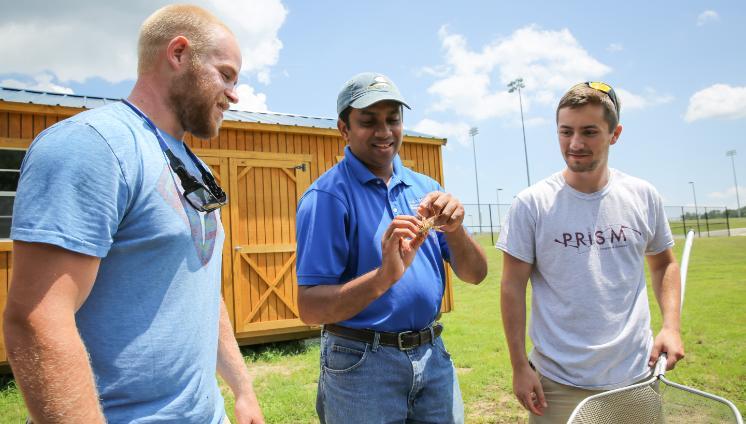 Dr. Sujan Henkanaththegedara (center) examines a crayfish with David Conner ’17 (left) and Connor Perry ’19